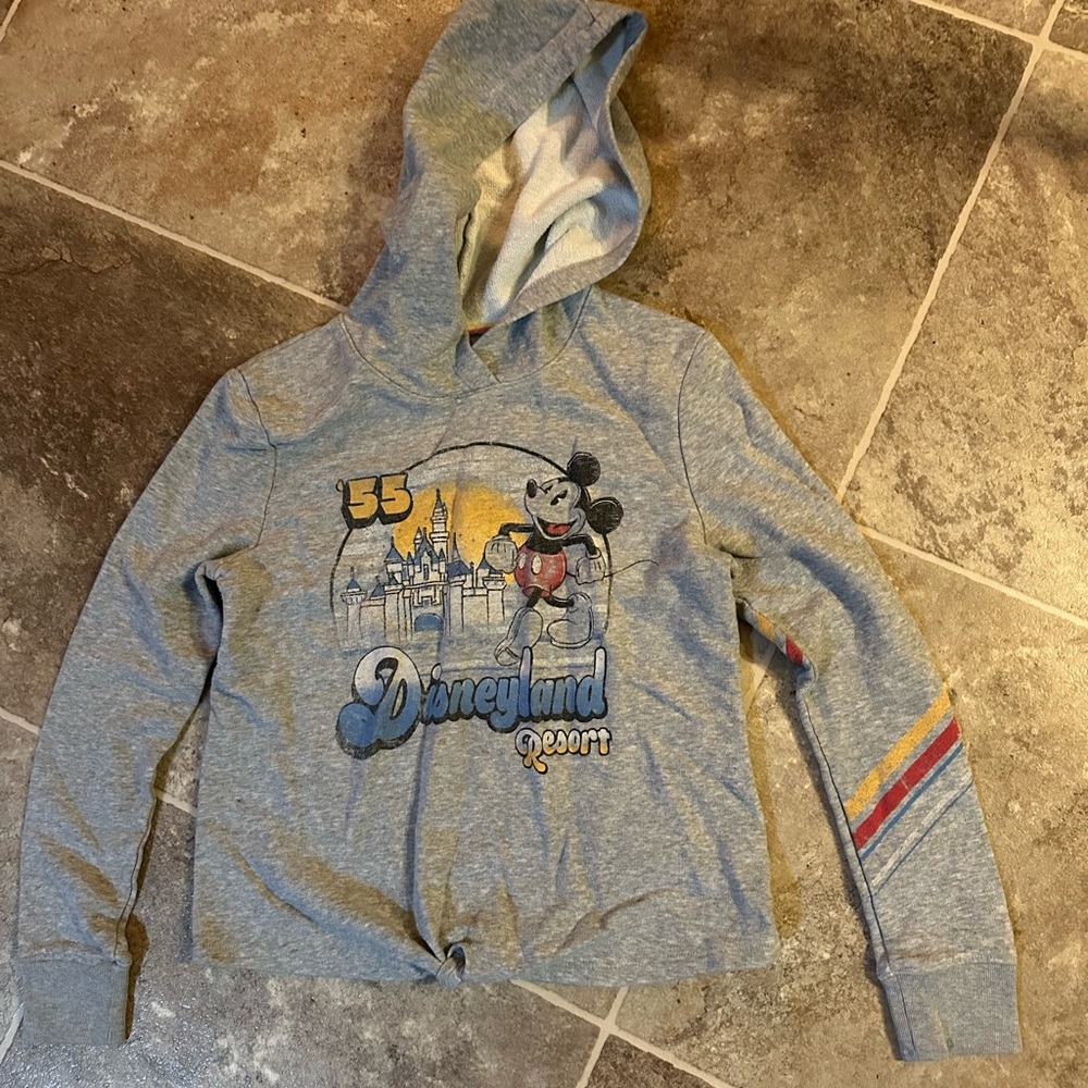 Disney Parks Gray Knit Hoodie